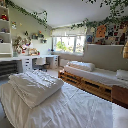 Charming, Spacious Family Near Center Vakantiehuis *