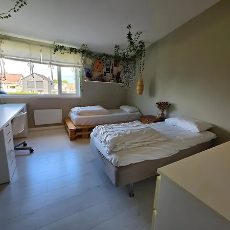 Charming, Spacious Family Near Center Stavanger